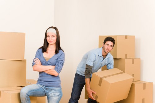 Professional removal van for local access and parking challenges in Crystal Palace