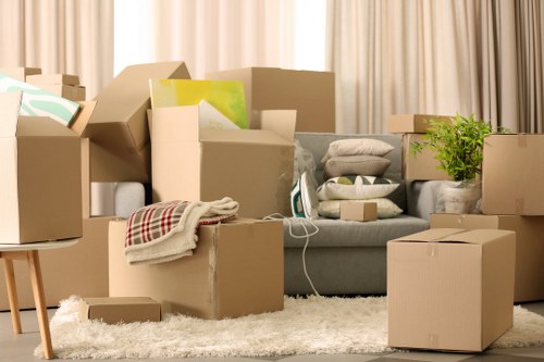 Protective equipment used during a move for safety